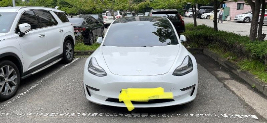 10일 보배드림에 올라온 테슬라 차주의 2면주차 모습. 보배드림 캡쳐.